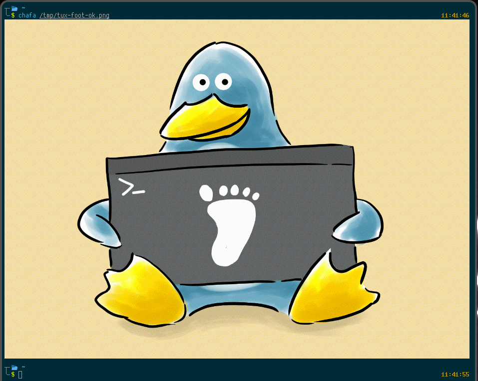 Sixel screenshot tux-with-foot